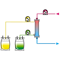 multivariate data analysis in sensory and consumer science publications in food science