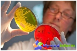 детски болести, Staphylococcus aureus, новородено, Staphylococcus aureus, стафилококови бактерии