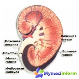 טיפול של pyelonephritis