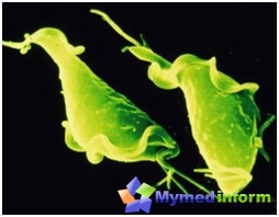 Pathways Trichomoniasis