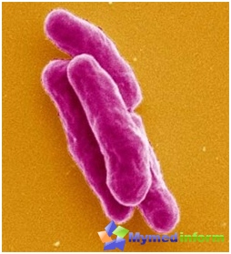 Mycobacterium tuberculosis (Kochův bacil) původce tuberkulózy