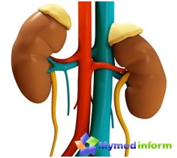 diseases-kidney