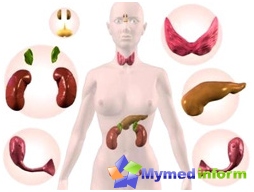 Hormones are produced in many organs of a woman, for example, heart, liver, brain, adipose tissue