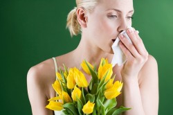 Alerginis sloga, alerginiai, anti-alerginiai agentai, Noodex