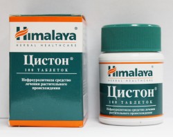 A vesék, húgyhólyag, vesék, urológia, cystitis, cyston betegségei