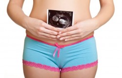 Gravidez, infertilidade, concepção, ovulação, ervas, fitoterapia, sábio