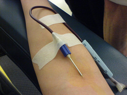 Entrega de sangue doador