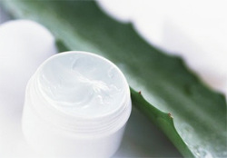 Každá kosmetická společnost má ve svém arzenálu řadu produktů obsahujících extrakt z aloe šťávy