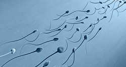 sperm analysis, men's infertility, cum, spermogram