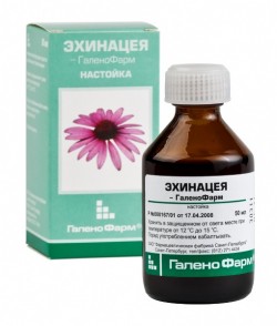 Piante di guarigione, trattamento delle erbe, tintura di Echinacea, Echinacea