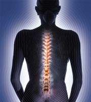Schimbarea numărului de vertebre lombare și sacrale