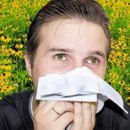 10 hay fever allergy rules