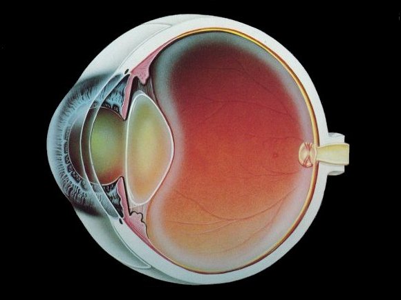 Шта узрокује катаракту?