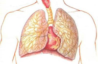 pneumothorax 2