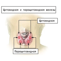 Hlavní příznaky hypoparatyreózy
