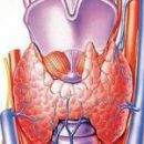 main symptoms and diagnosis of thyroid cancer