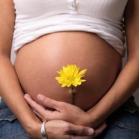 polycystic kidney disease and pregnancy