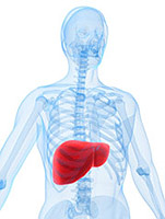 Fat hepatosis, treatment. Fatty dystrophy