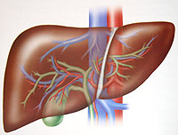 Kas yra hepatitas e