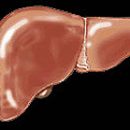 treatment of liver cirrhosis