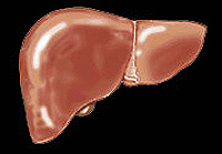 treatment of liver cirrhosis