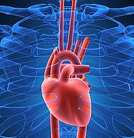 Zapalenie mięśnia sercowego: przyczyny, leczenie, zapobieganie