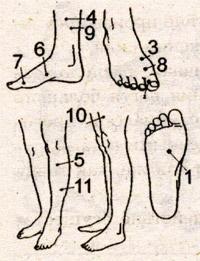 acupressure with vascular dystonia
