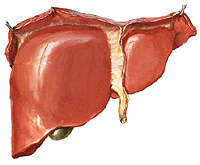 Metode dijagnoze i liječenja raka jetre