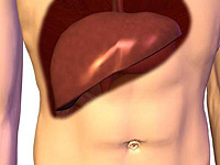 what is liver cancer