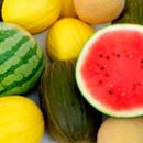 how to choose a watermelon or cantaloupe