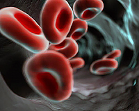 why elevated blood lymphocytes