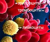 What is leukemia