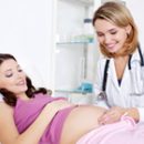 transcript assays Torch in pregnant women