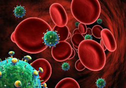 Декодиране на тестове за ХИВ
