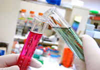 Afkodning af RNA Tests HCV kvantitativ