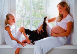 Токсоплазмоза по време на бременност интерпретация на анализи