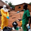 areal spread Ebola fever