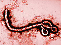 Хеморагична треска от ебола