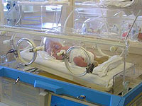 live attraction or history of infant incubators for newborns