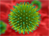 Quais anticorpos para o vírus vírus são diagnosticados?