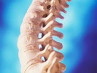 Causes of osteochondrosis or arthrosis of the spine