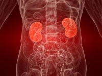 What is pyelonephritis? Causes of the disease