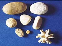 Tipos de pedras com urolitíase, que são pedras