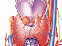 complications after thyroidectomy