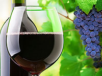 Os benefícios do vinho: 3 fatores que você não sabia