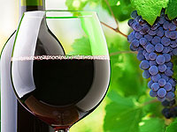 The benefits of wine: 3 factors that you did not know