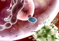 infections that develop when HIV