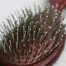 brittle hair will help silicon diet