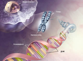 Diagnose van fibrosis