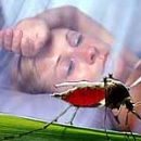 Malaria is not only the disease but also the science
